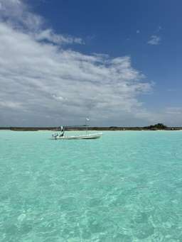 Review image by Victoria Harris for the trip title: Mexico Yucatán Experience