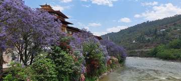 Review image by Hanni Mendieta for the trip title: 4-Day Bhutan Tour: Paro And Thimphu 