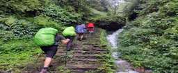 Review image by Palsang Tour for the trip title: Annapurna View Trek