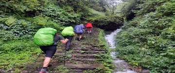 Review image by Palsang Tour for the trip title: Annapurna View Trek