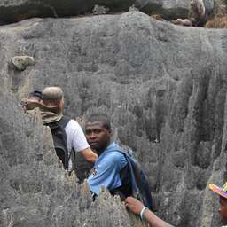 Belaza Zafifenjaha - Antananarivo Wildlife safaris and game drives Tours Expert
