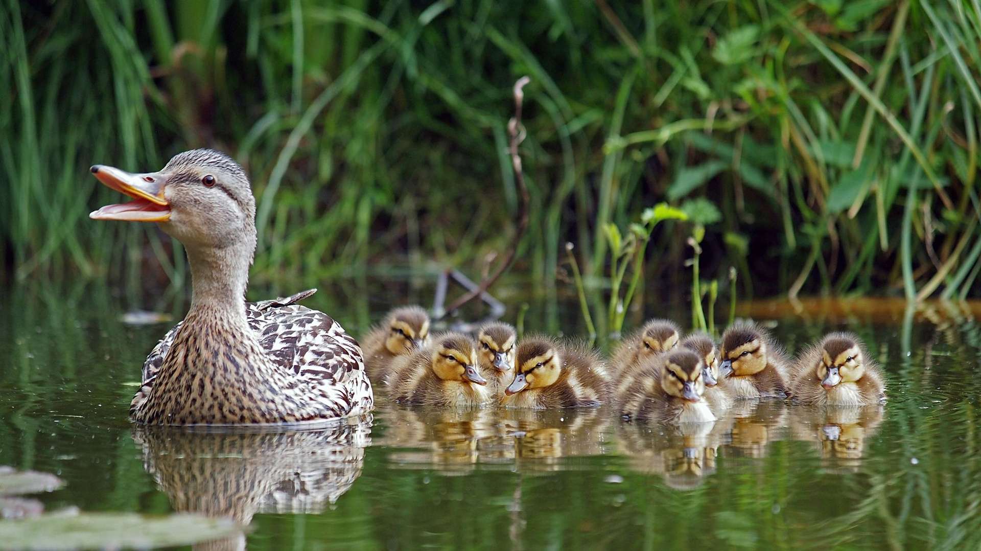 Top Rated Wildlife, landscapes and nature Tours Across the Globe