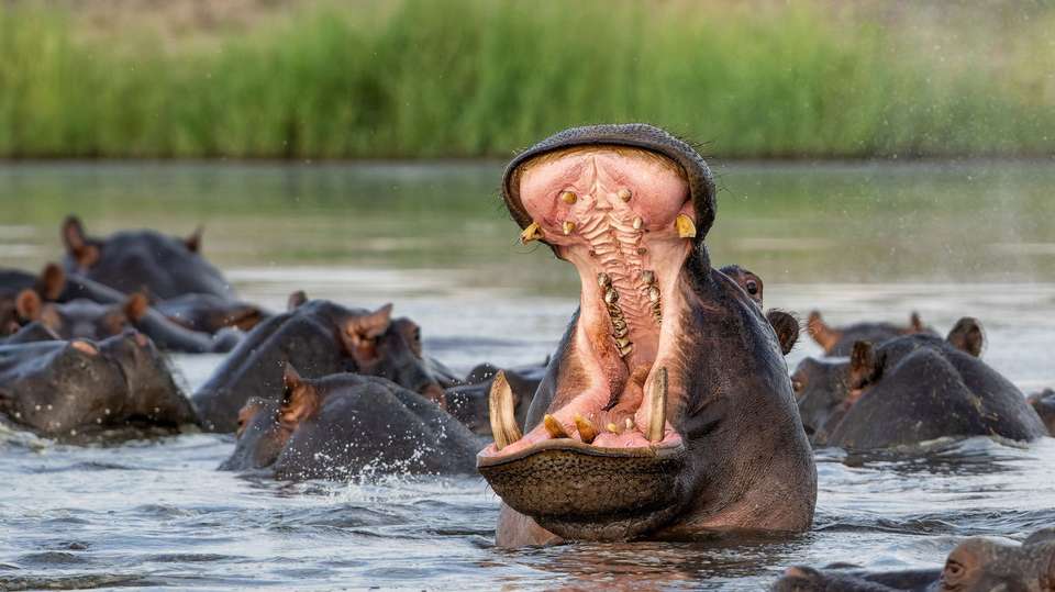 National parks Tours in Oceania