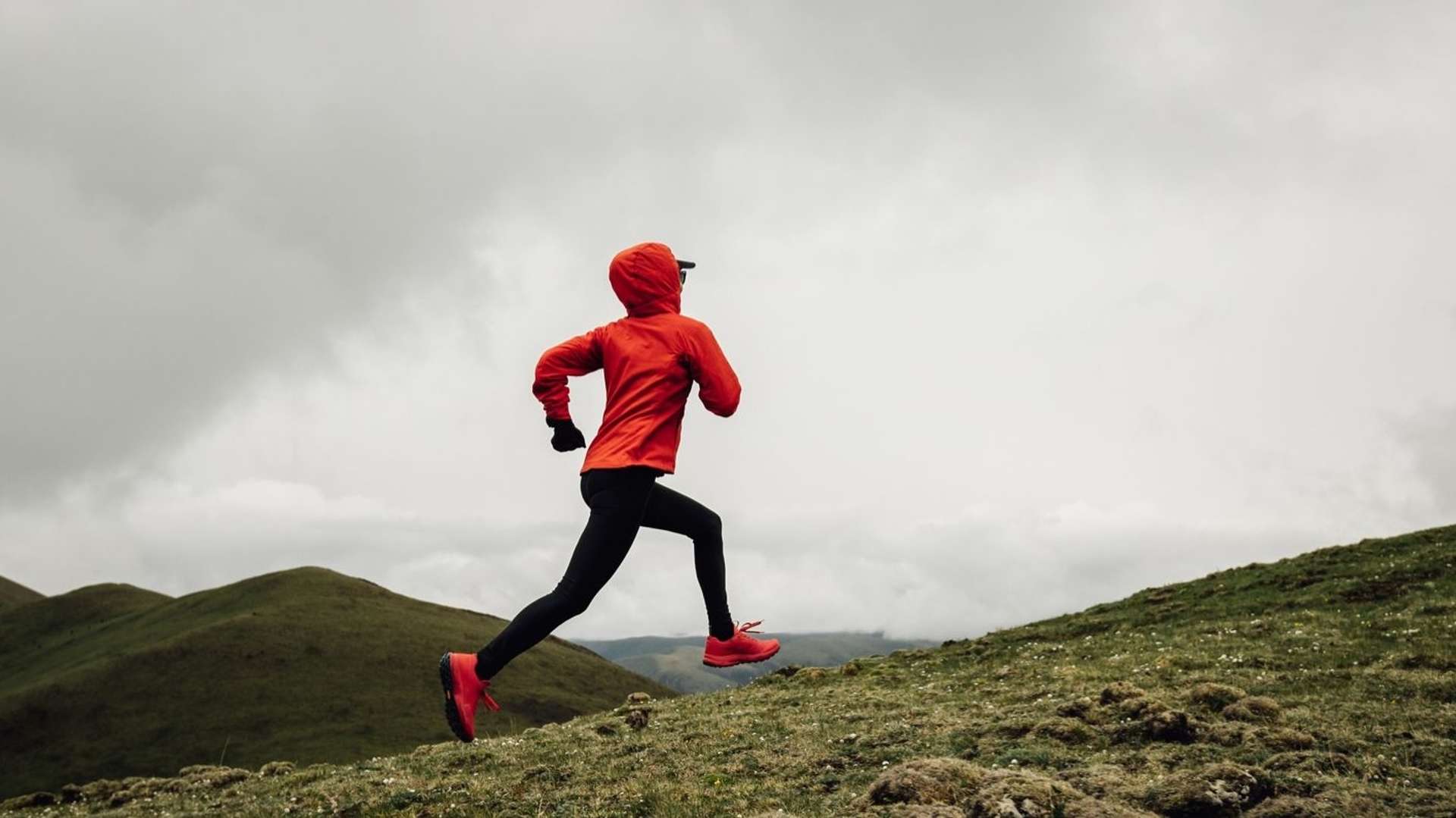 Top Rated Running Tours Across the Globe