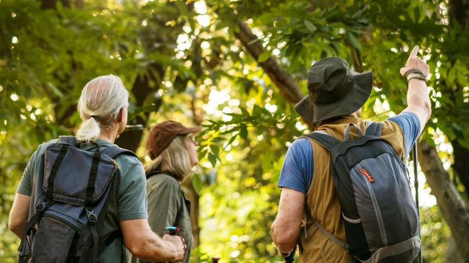 14-Day Bird watching Tours in Windhoek
