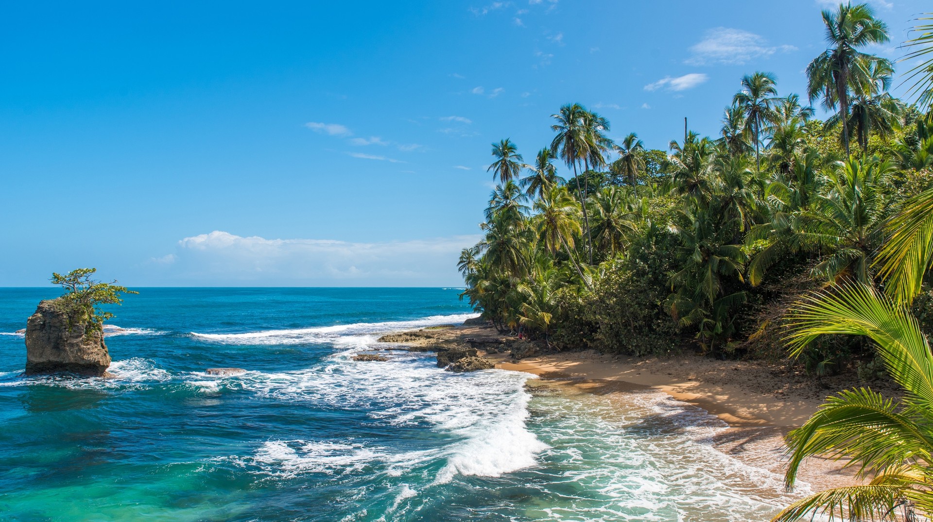 Paradise beach with blue sky during summer in Costa Rica.