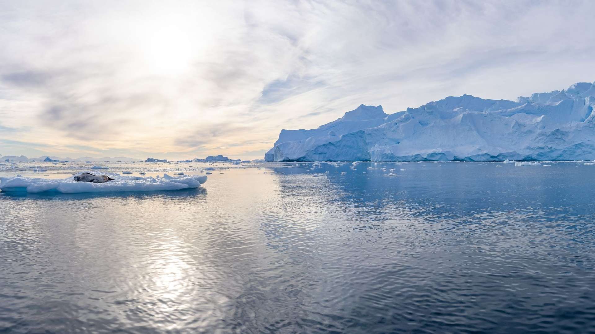 Antarctica Cruise Trips