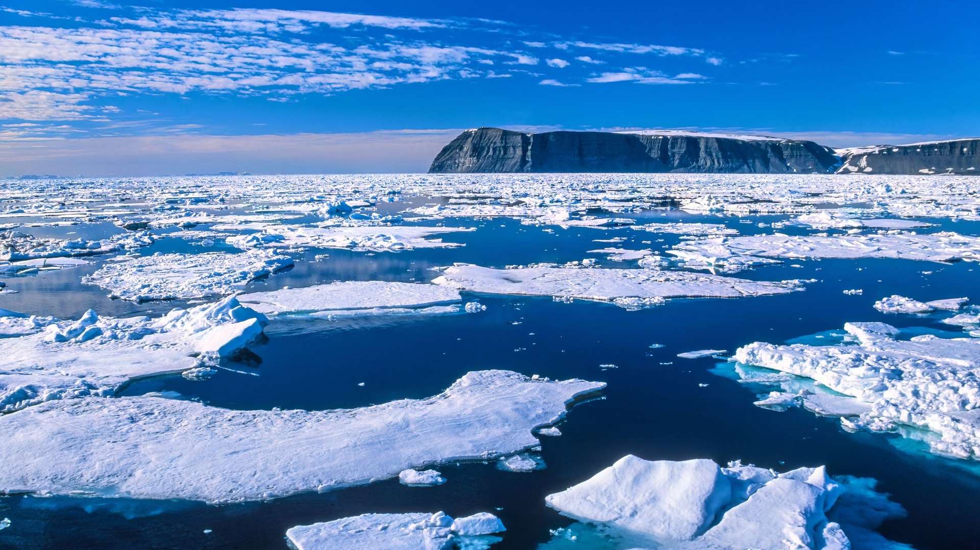 Arctic Tours and Trips