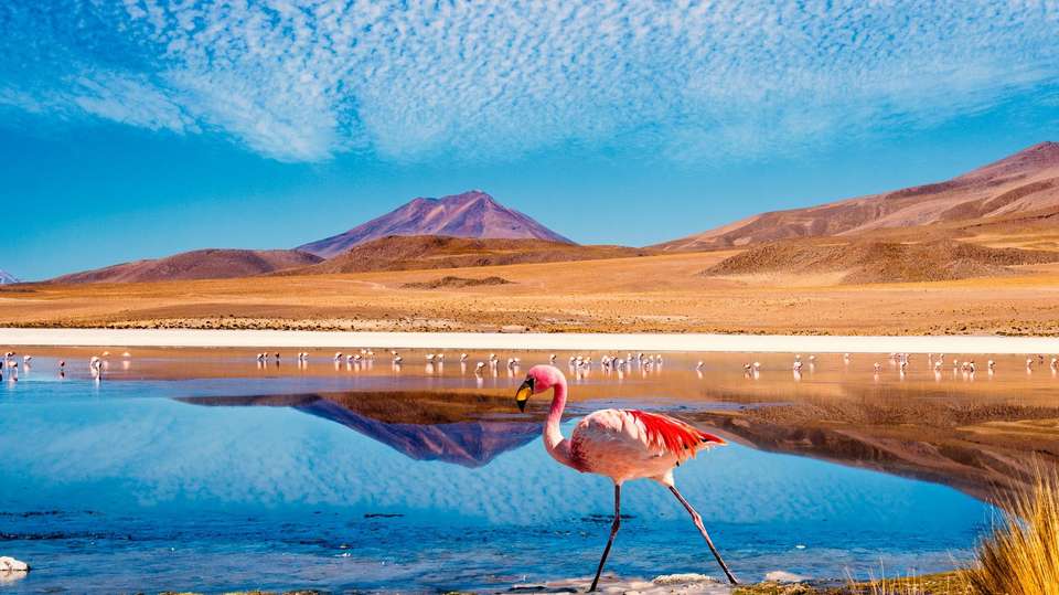 Top Bolivia tours