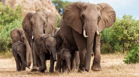 Botswana