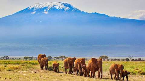 Kenya