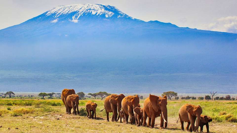 Top Kenya tours