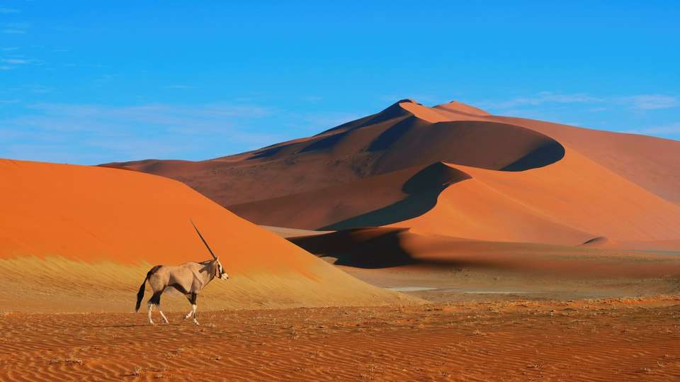 Top Namibia tours