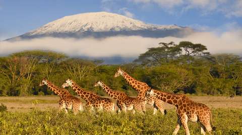 Tanzania