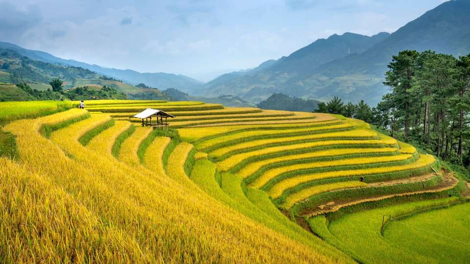 Vietnam