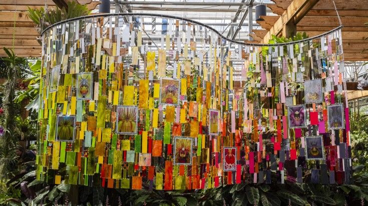 Art exhibit in the orchid greenhouse at Atlanta Botanical Garden.