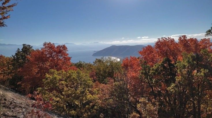 Colorful trees in autumn in Galichica National Park, Macedonia.