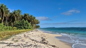A stretch of caribbean sea, sandy beach, palm trees & island in horizon