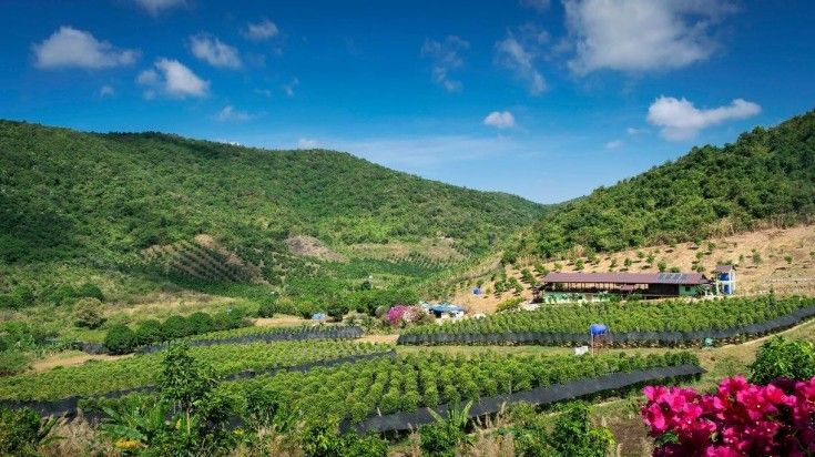 Explore the beautiful countryside of Kampot on your 2-week Cambodia holiday