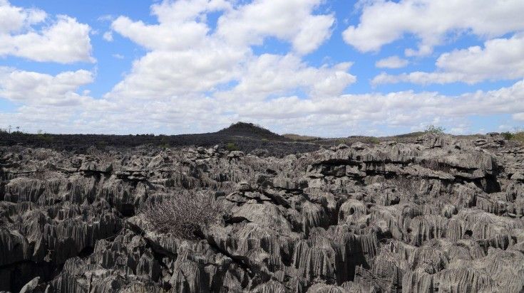 Panoramic view of limestone tsingy in Madagascar