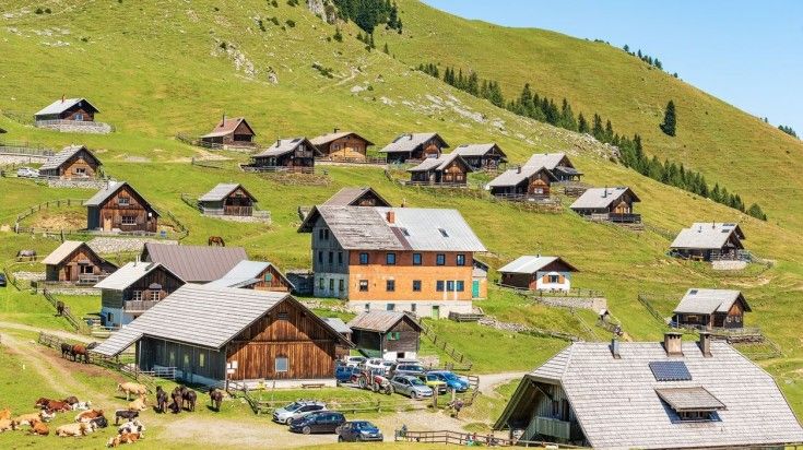 Cattle and cottages at a farming village in Austria in June.