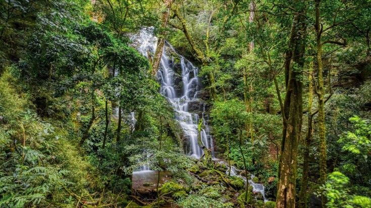 A hidden waterfall in Rincon de la Vieja National Park. A hidden waterfall in Rincon de la Vieja National Park.
