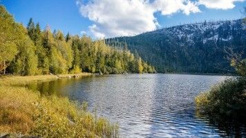 Plesne Lake in the Bohemian Forest in the Czech Republic