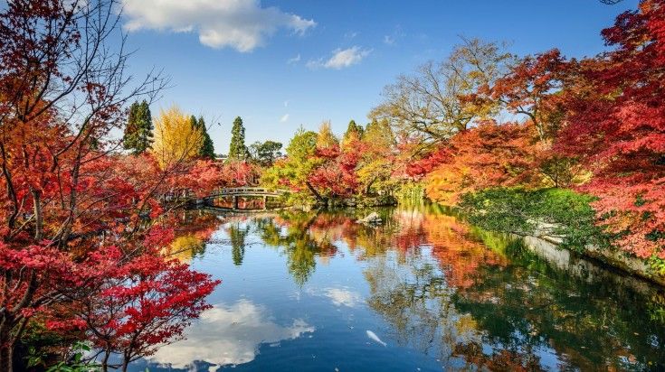 Fall foliage in Kyoto in Japan.