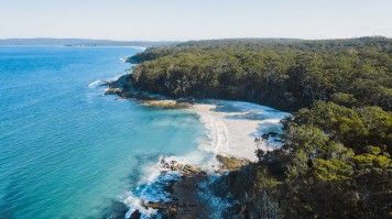 Jervis Bay's white sand beach with jungle on one side & blue water on other