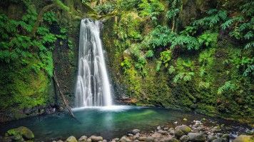 Waterfalls with pool are found on most hiking trails in the Azores