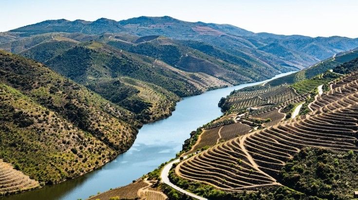The roads wind through the vineyards that line the Douro Valley