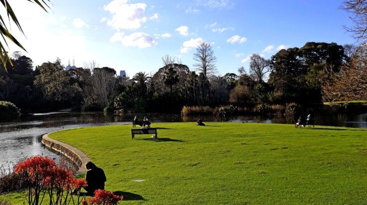 An afternoon view of the Royal Botanic Gardens in Melbourne, Australia.
