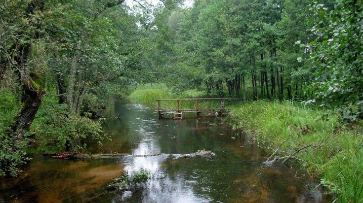 Aukštaitija National Park is a great place for hiking in Lithuania.