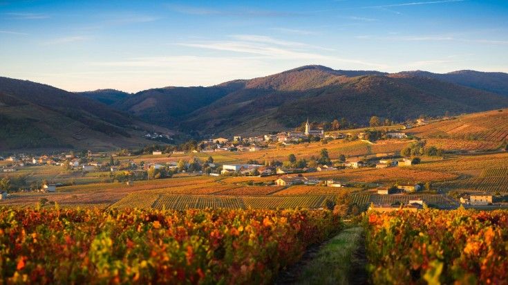Fall foliage in the village of Quincie-en-Beaujolais in France. Fall foliage in the village of Quincie-en-Beaujolais in France.
