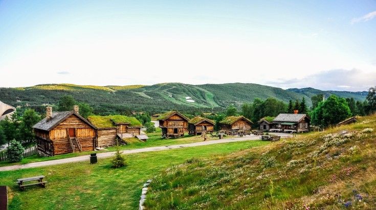 Framehouses with grass on top on a summer morning in Norway.