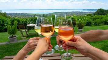 Villány is one of Hungary's premier wine regions, renowned for its high-quality red wines, especially from grape varieties like Cabernet Sauvignon, Merlot, and Kékfrankos. Wine glasses clinking together