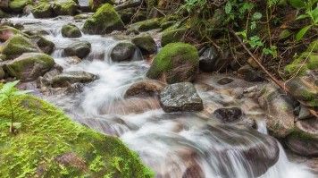 Discover fresh waterfalls while hiking the scenic trails in El Valle de Anton. Water flowing down the stream