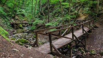 Pass through enchanting gorges while hiking the trails around Pilis Mountain. View of Dera Gorge in Pilis mountains in Hungary