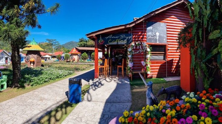 Boquete is known for producing Geisha coffee, one of the most expensive and sought-after coffee varieties in the world, recognized for its unique floral and fruity flavor notes. coffee shop in a wooden house in Boquete
