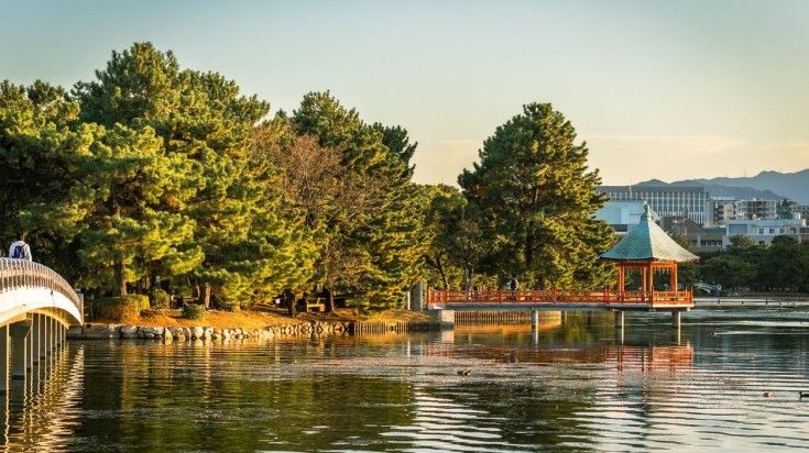 Ohori Park with its cool pond and green landscape in Fukuoka
