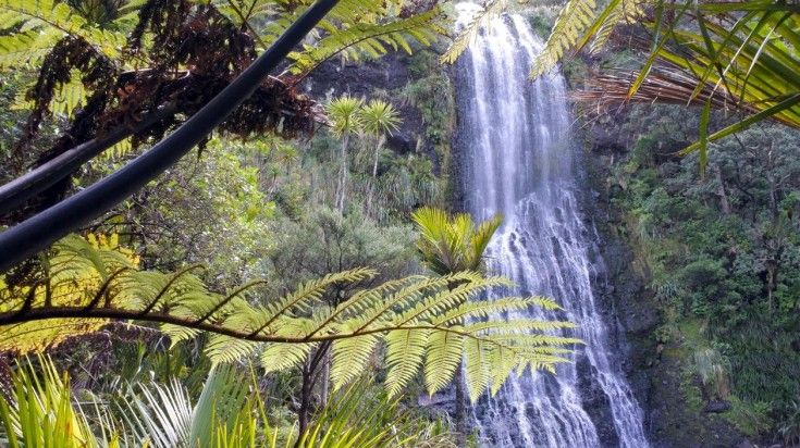 Karekare Falls as seeing through native bush in the Waitakere range.