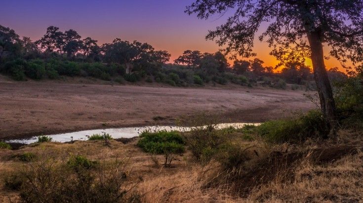 Dry riverbed landscape during dusk in Kruger National Park.
