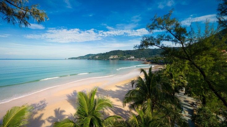 Aerial view of Patong Beach with palm trees and white sand on a clear summe