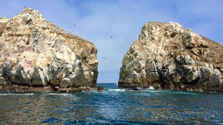 Rocky coast of the Palomino Islands.