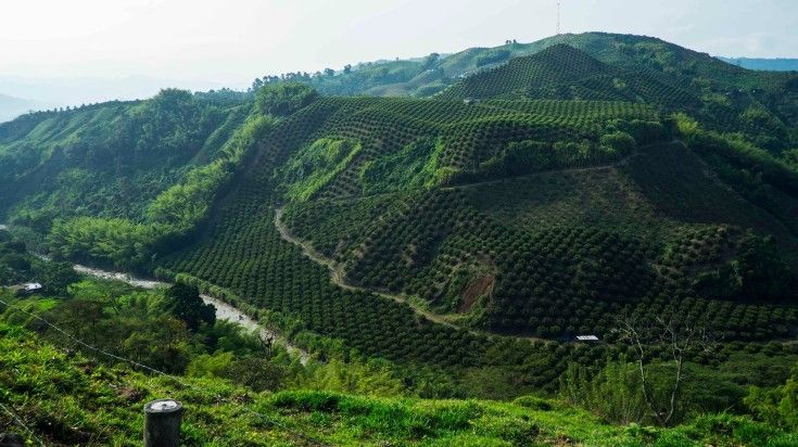 Salento is the gateway to the popular Cocora Valley. See the coffee plantation while spending 9 days in Colombia.