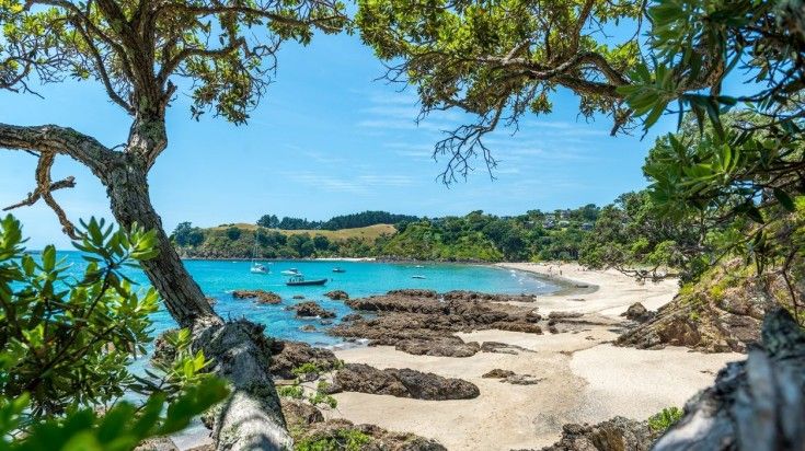Waiheke Island in New Zealand.