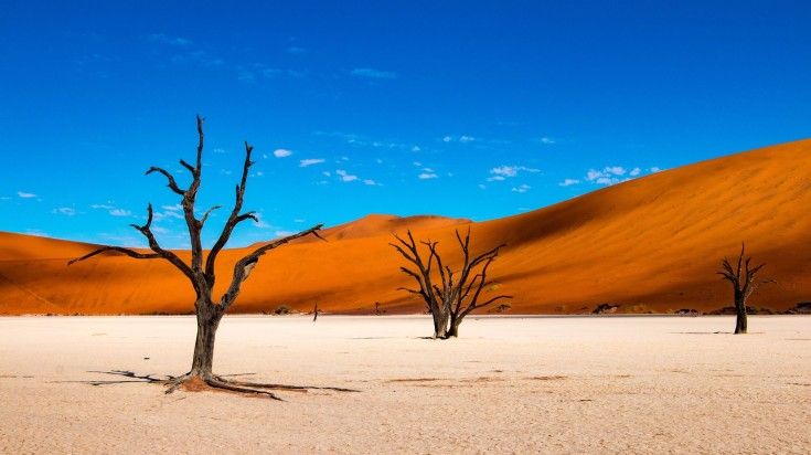 Wallpaper-like scenery of the Deadvlei.