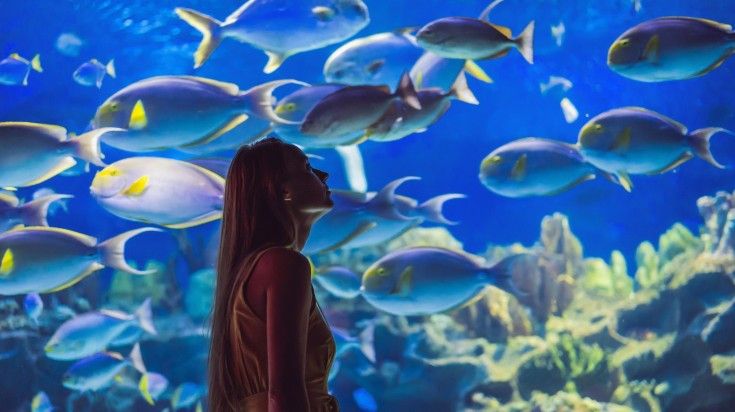 Woman marveling at the school of fishes displayed in the Dubai aquarium.