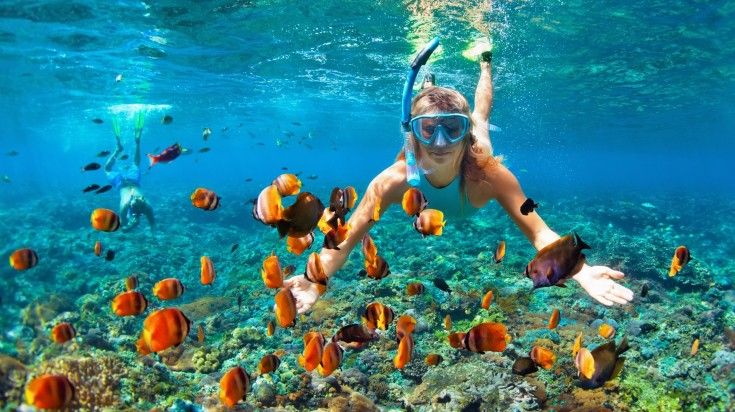 Woman swimming with a school of fishes in the Carribean sea. Woman swimming with a school of fishes in the Carribean sea.