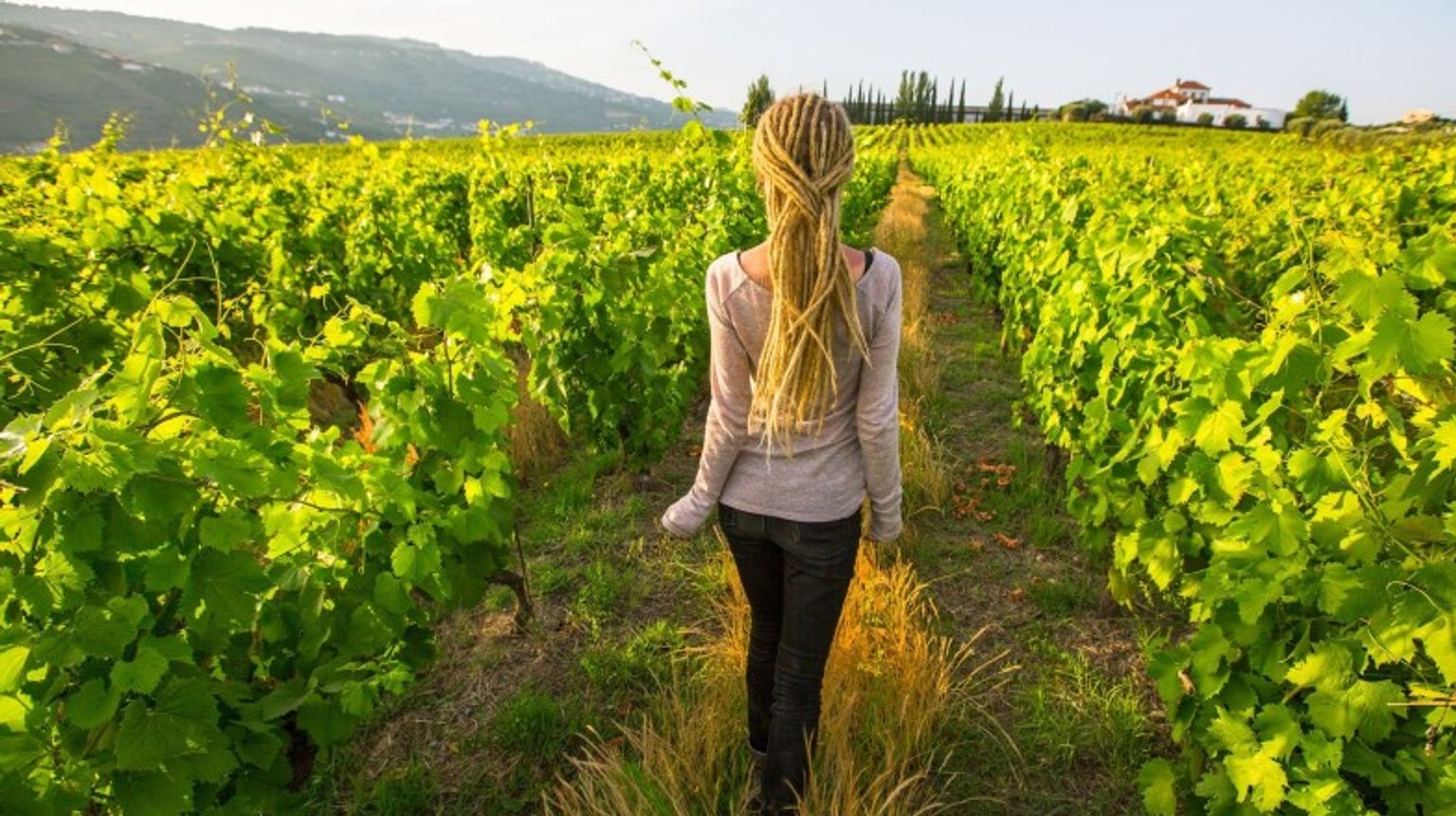 A young woman walking in the wine vineyards in Eger during her 5 days in Hungary.